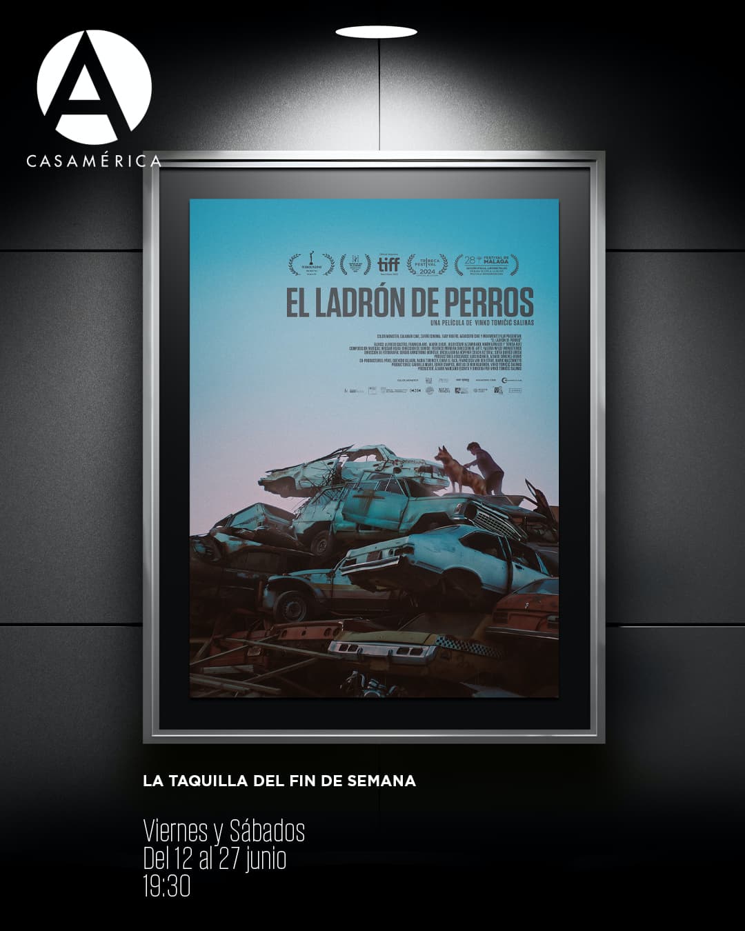 🎬🐕 𝐄𝐬𝐭𝐫𝐞𝐧𝐨 𝐞𝐧 𝐞𝐱𝐜𝐥𝐮𝐬𝐢𝐯𝐚: 𝐄𝐥 𝐥𝐚𝐝𝐫𝐨́𝐧 𝐝𝐞 𝐩𝐞𝐫𝐫𝐨𝐬.

Llega a nuestra Taquilla de fin de semana la última película de Vinko Tomičić, protagonizada por Alfredo Castro. Tras su paso por festivales como Tribeca, Málaga, La Habana y Lima, este relato nos sitúa en las calles de La Paz para seguir la historia de Martín, un joven limpiabotas que busca su identidad en un entorno de soledad y esperanza.

Un debut en solitario que ha cosechado premios internacionales a Mejor Guion y Mejor Ópera Prima, consolidándose como una de las propuestas más potentes del cine latinoamericano reciente.

📅 Viernes y sábados del 12 al 27 de junio.
⌚ 19:30.
📍 Sala Iberia (Plaza de Cibeles, sn).

🔗 Consulta la hoja de sala y más información en el enlace de la biografía.

#CineLatinoamericano #Estreno #Chile #Bolivia
