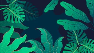 Análisis de la COP30 de Belém 2025